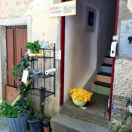 La Casina Ligure 公寓